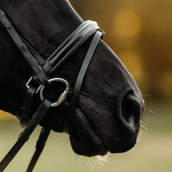 Demi bridle