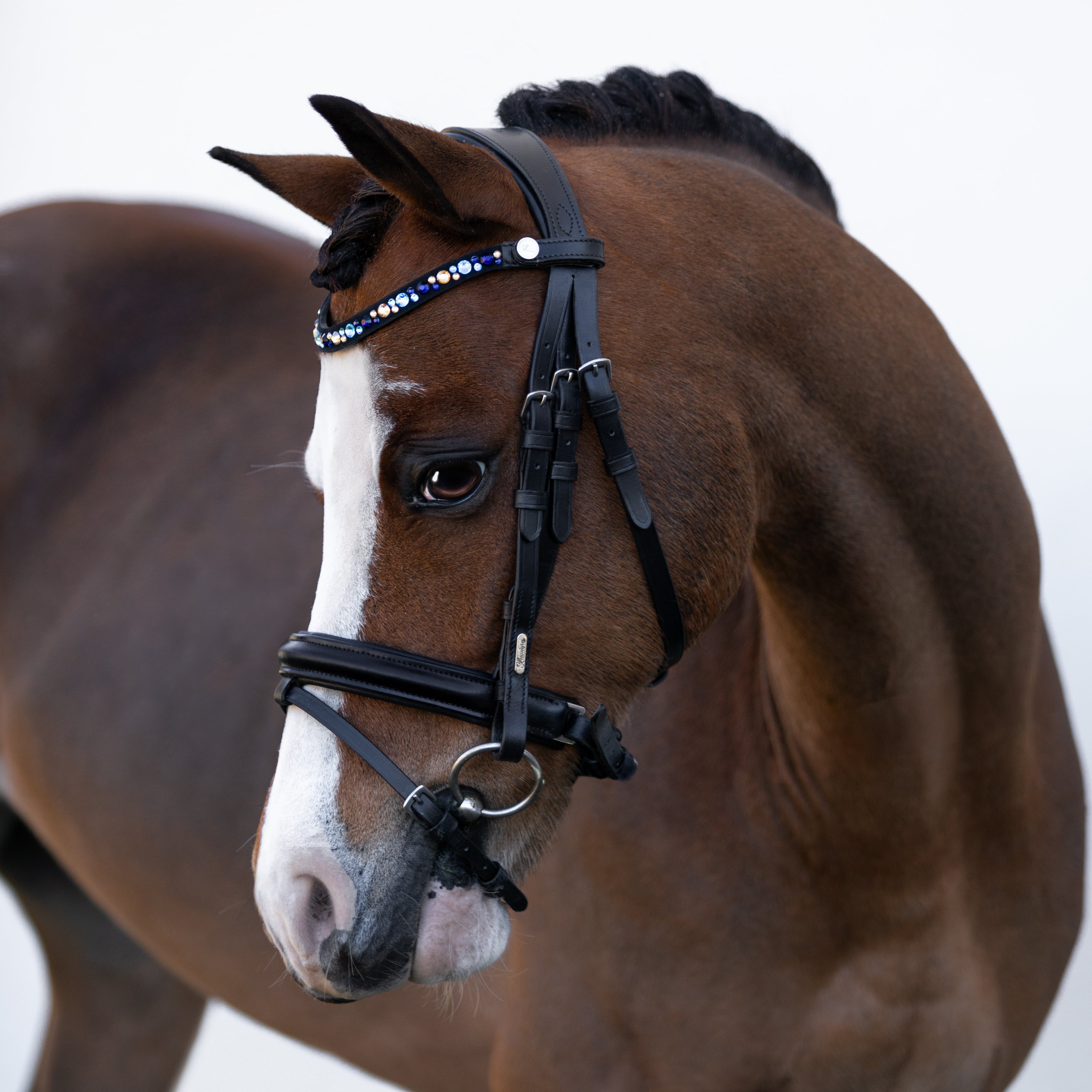'Demi' Leather bridle (Lumi Pony) - Lumiere Equestrian