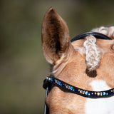 Demi crystal browband (Lumi Pony) - Lumiere Equestrian