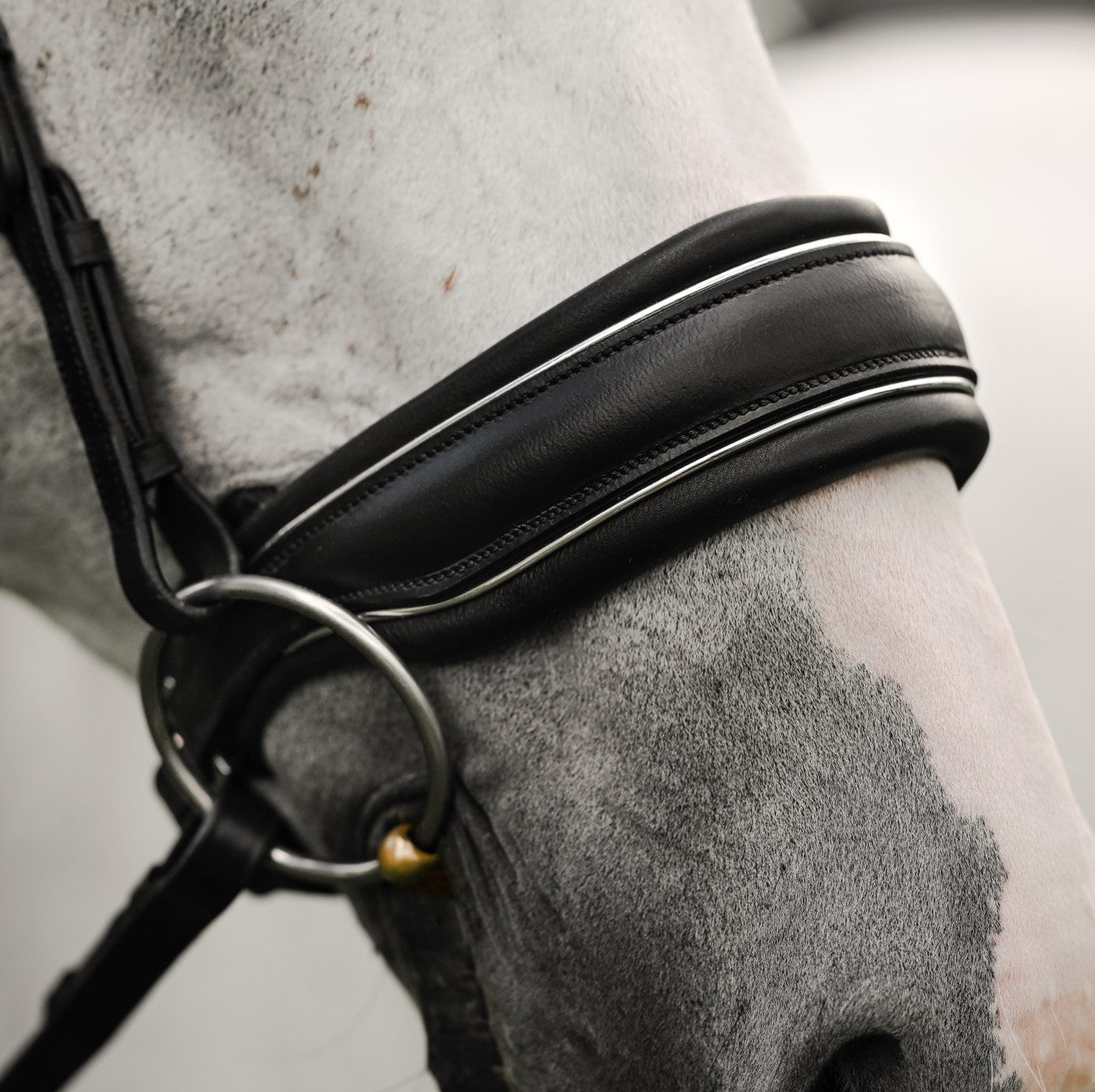 Diva Noseband (cavesson) - Lumiere Equestrian