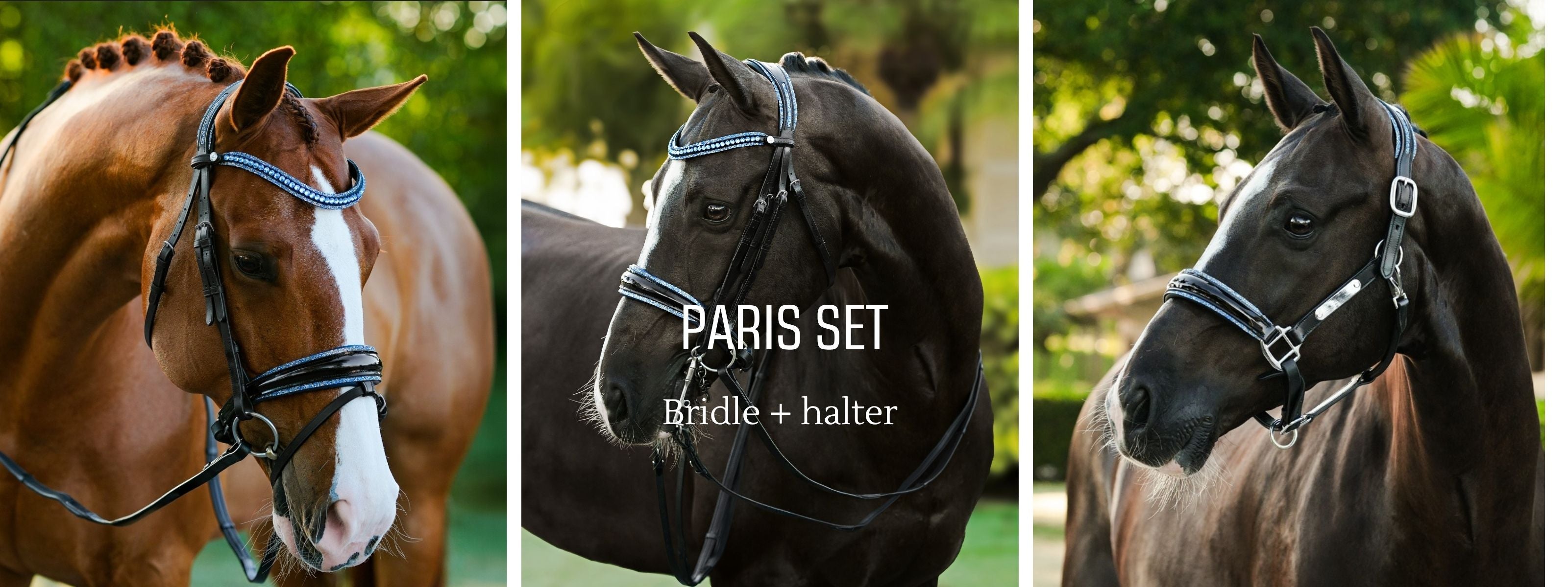 andwang Lumière Bicolor Twin Set black Lumiere Equestrian | Official Website