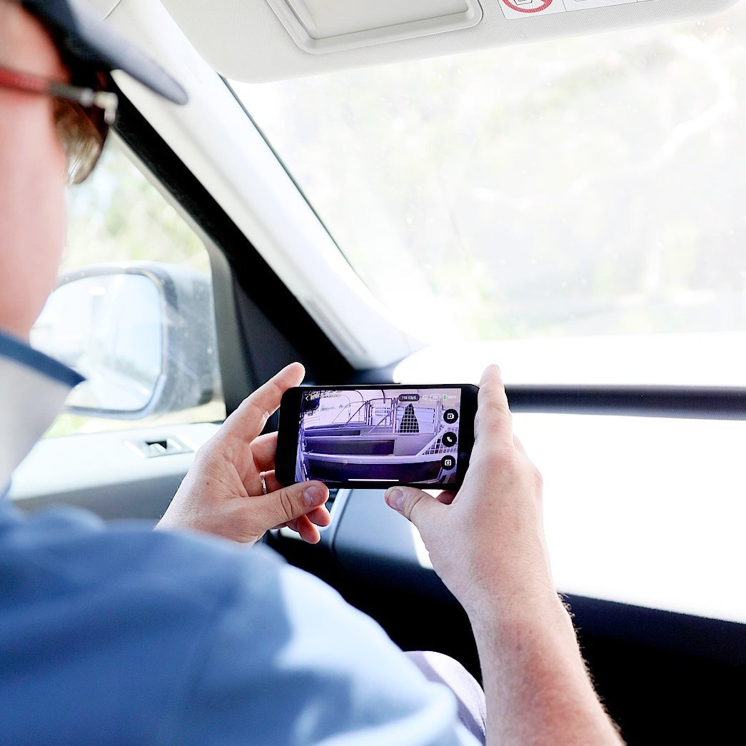 Equine Eye Vision - Lumiere Equestrian