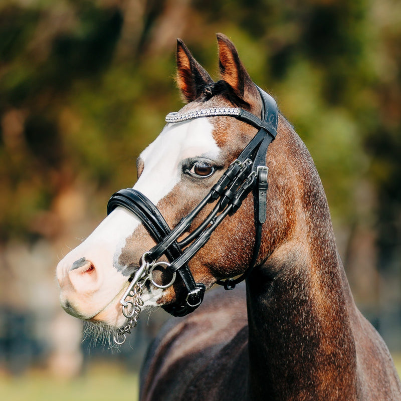 'Amie' luxury leather bridle - (double) (Lumi Pony)