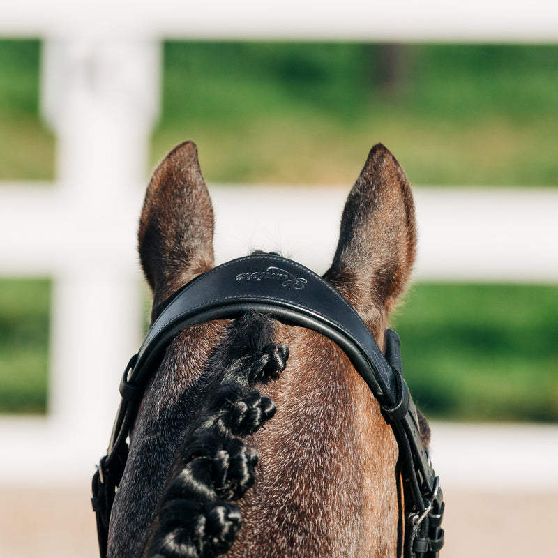 'Amie' luxury leather bridle - (double) (Lumi Pony)
