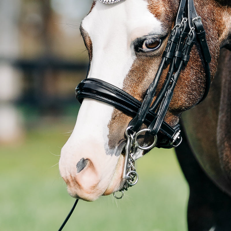 'Amie' luxury leather bridle - (double) (Lumi Pony)