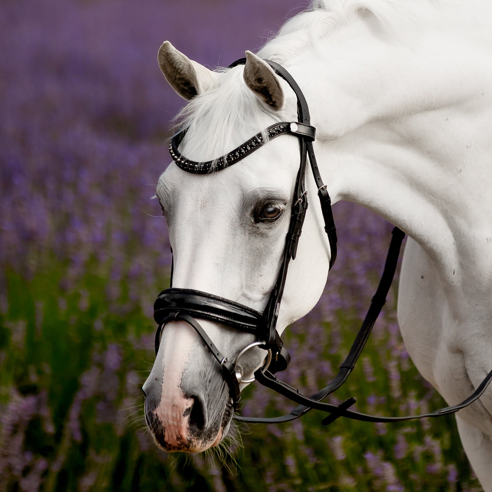 Arcadia' Luxury Leather Bridle (hanoverian)