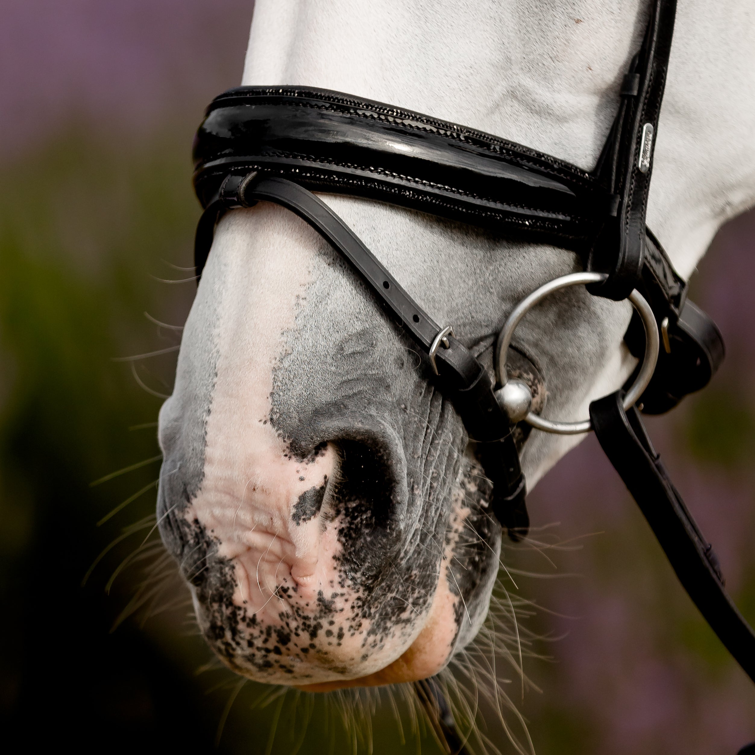 'Arcadia' Luxury Leather Bridle (hanoverian)