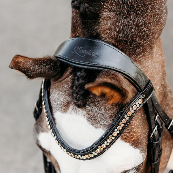 'Ariana' bridle (hanoverian) (Lumi Pony) - Lumiere Equestrian