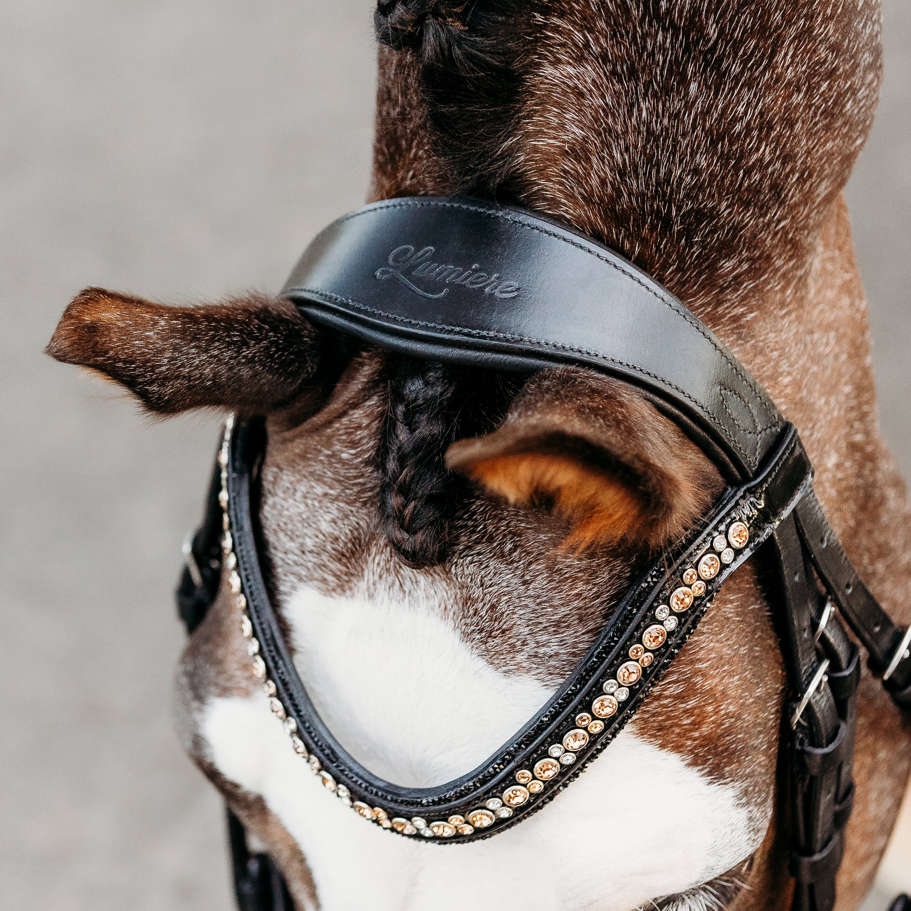 Ariana browband (Lumi Pony) - Lumiere Equestrian