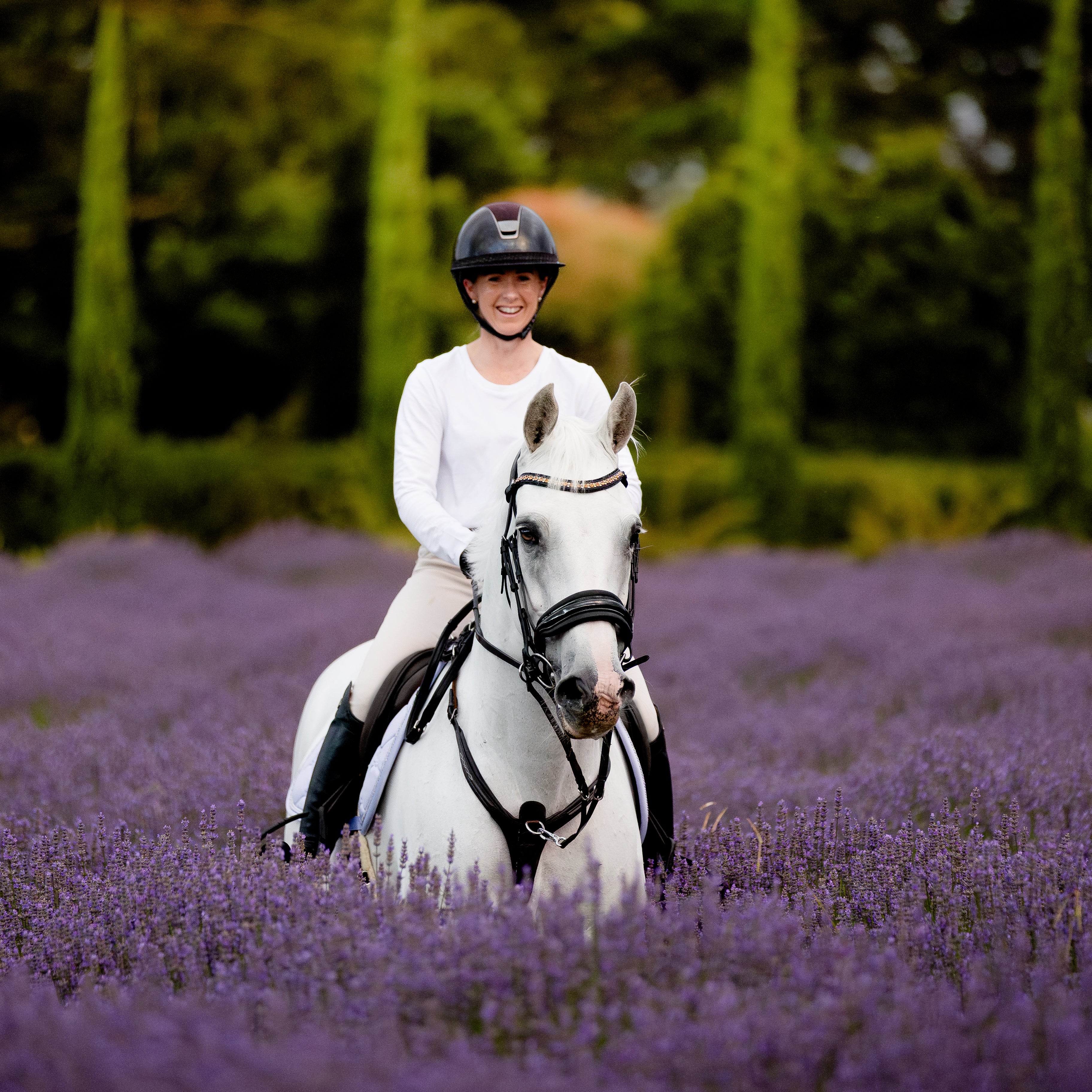 'Ariana' bridle (cavesson)