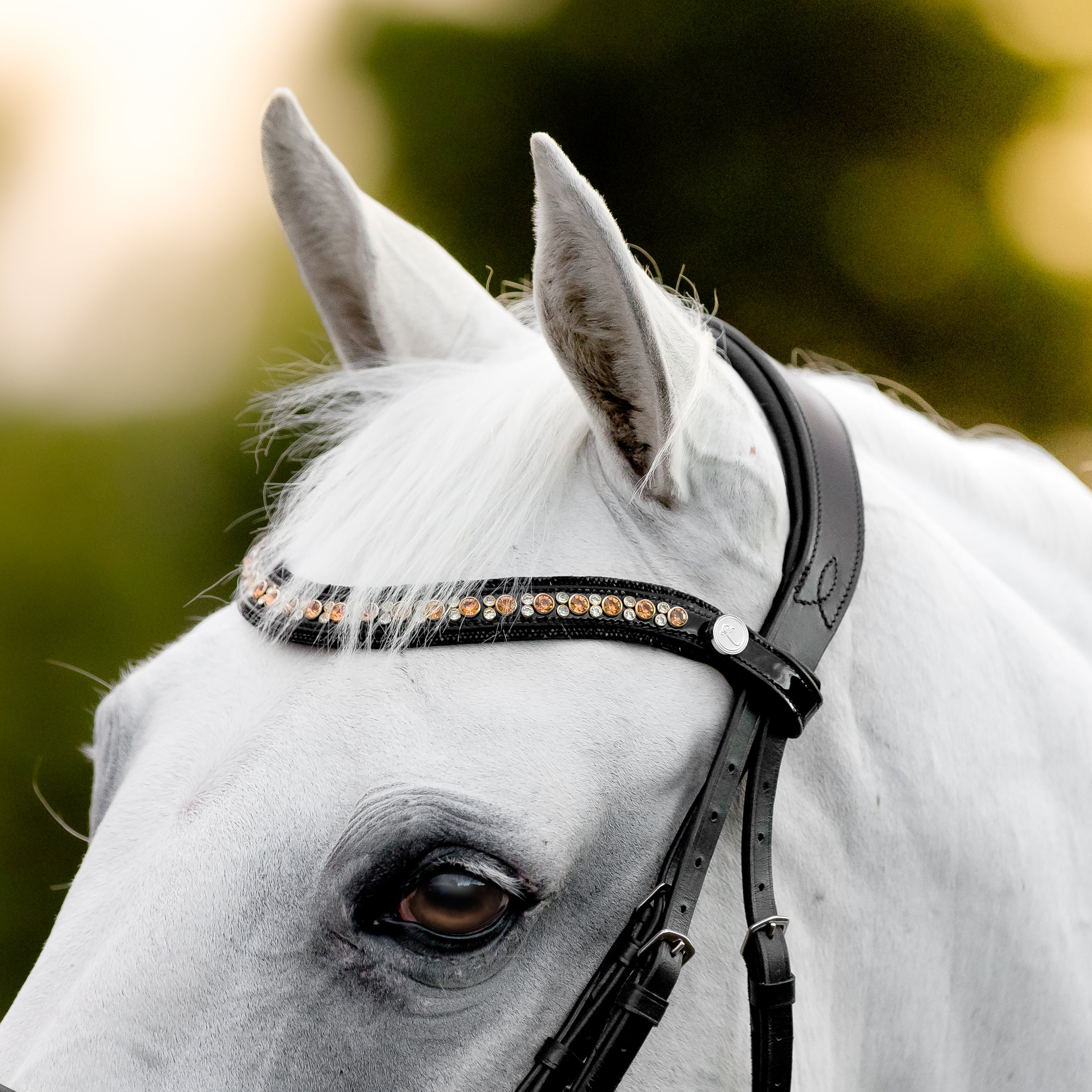 'Ariana' bridle (cavesson)