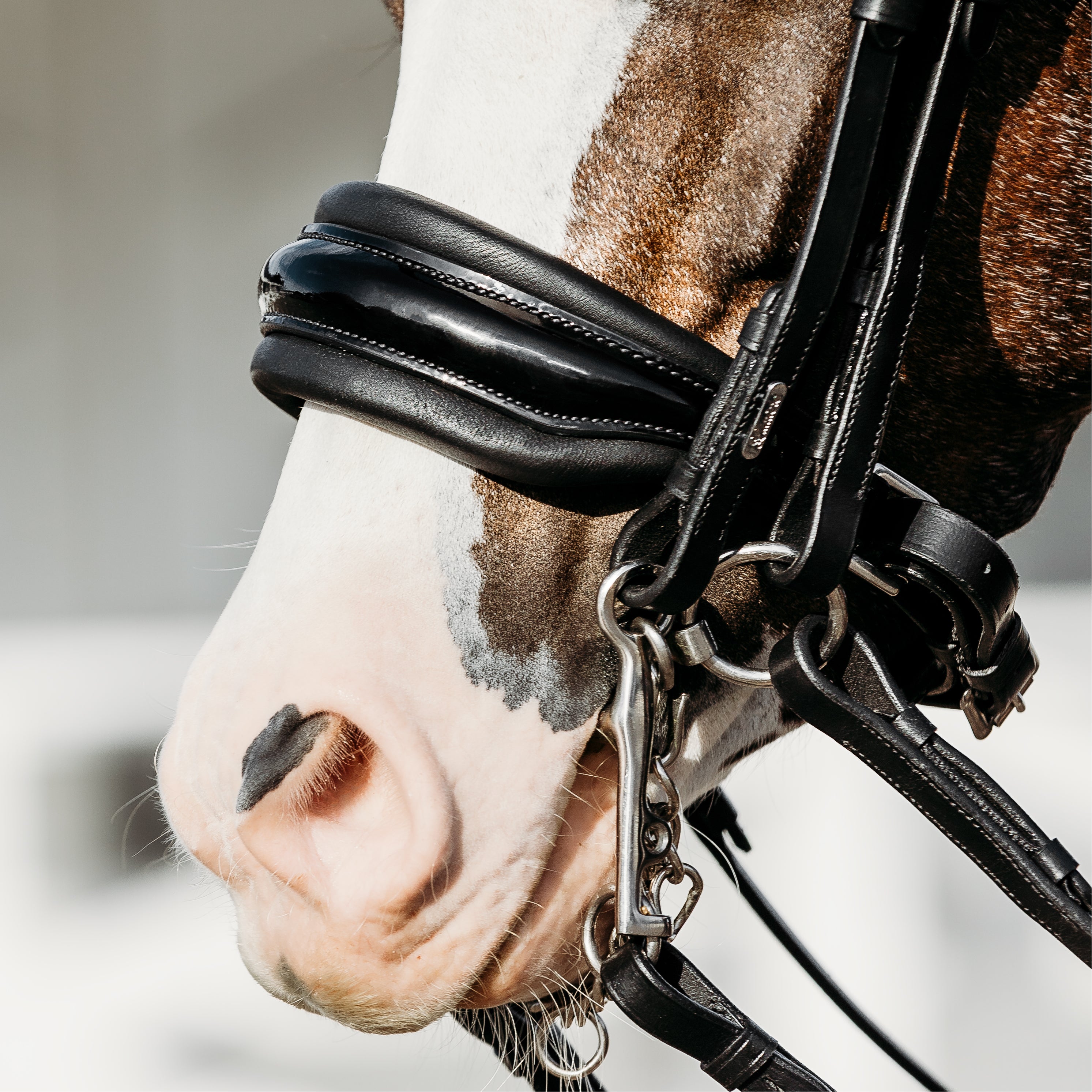 'Ariana' bridle (double) (Lumi Pony) - Lumiere Equestrian