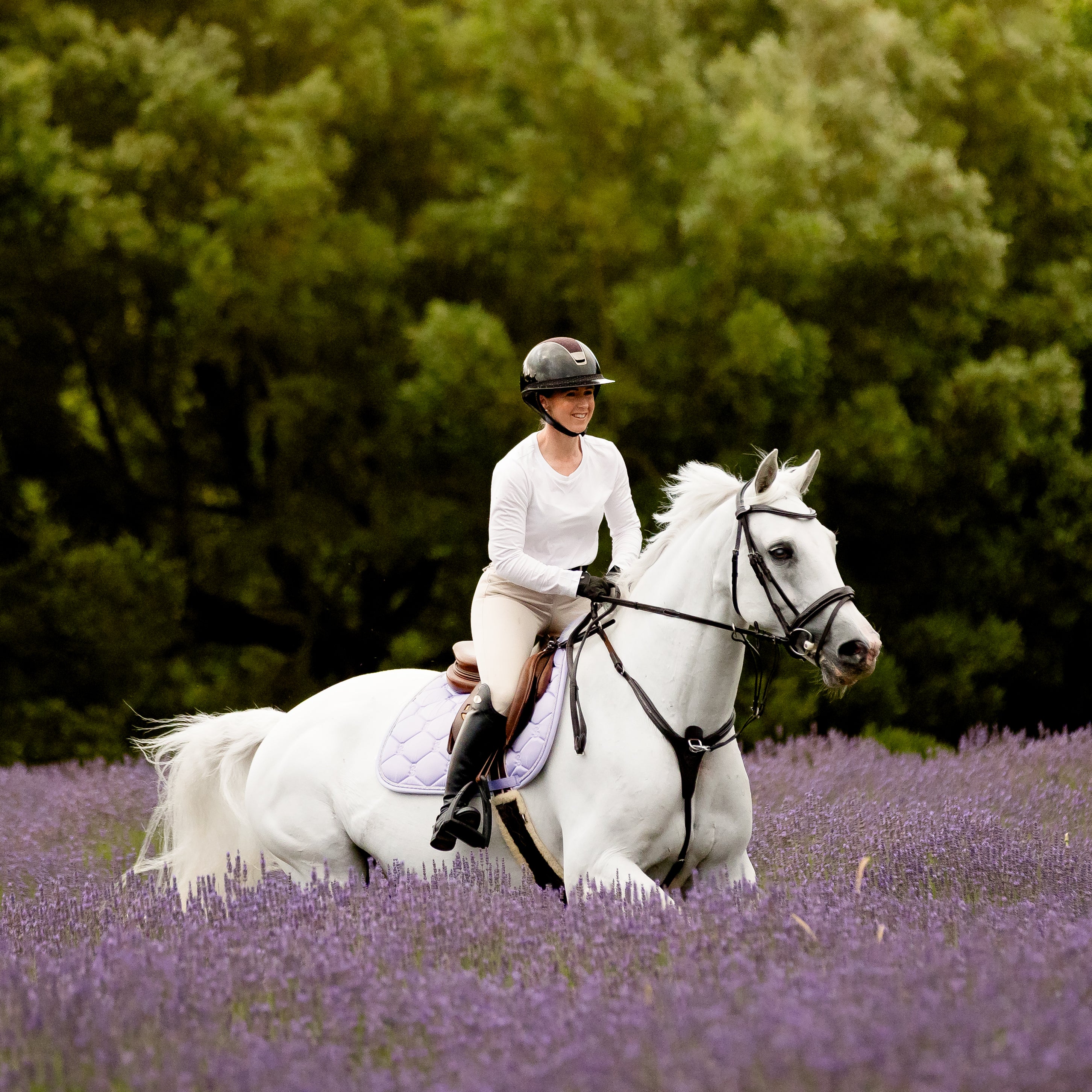 BEAUTY OF SILENCE レオタード Milano ブラック Milan Convertible Italian Leather Bridle - Lumiere USA