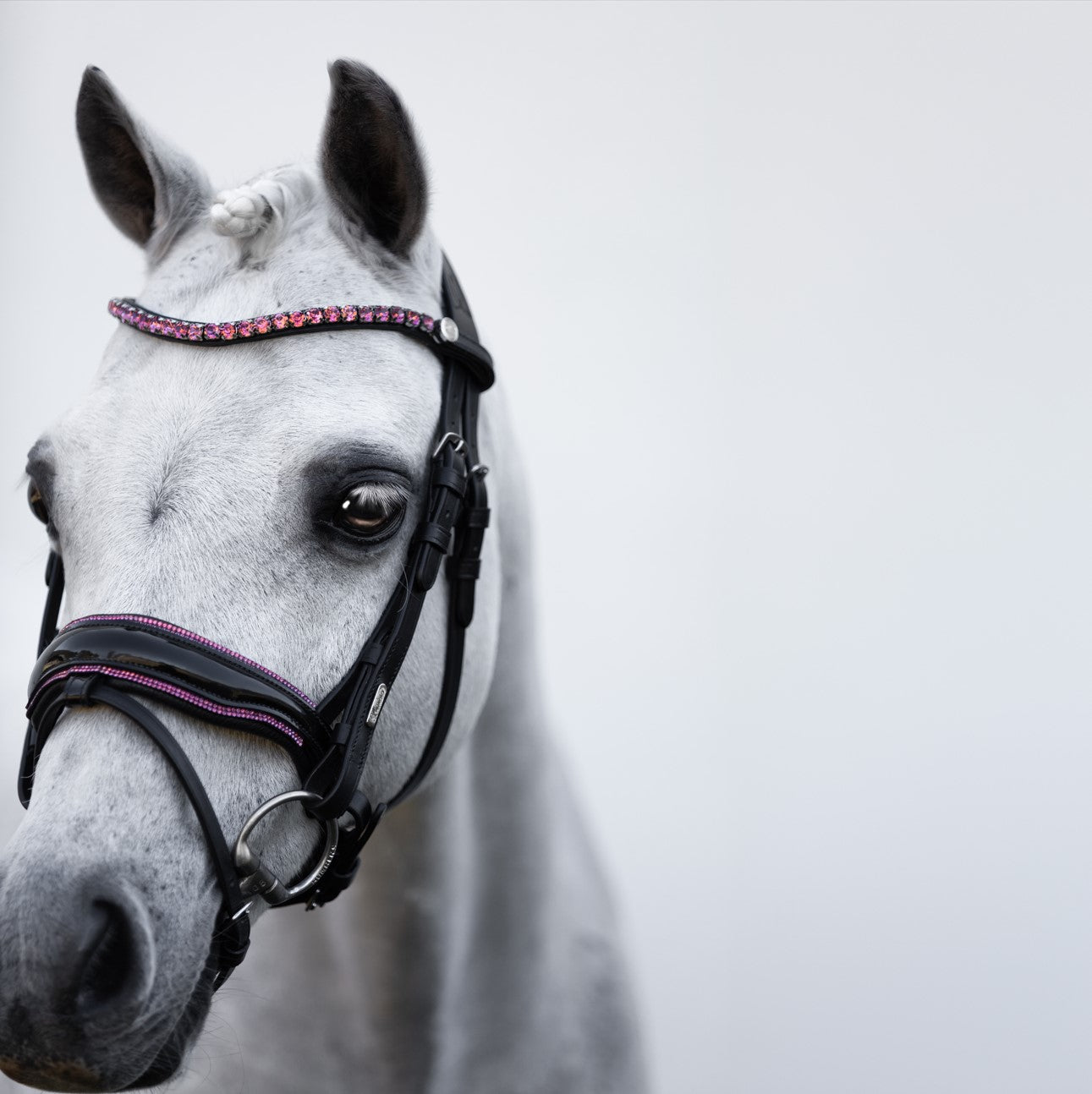 Fairyfloss bridle (Lumi Pony) - Lumiere Equestrian