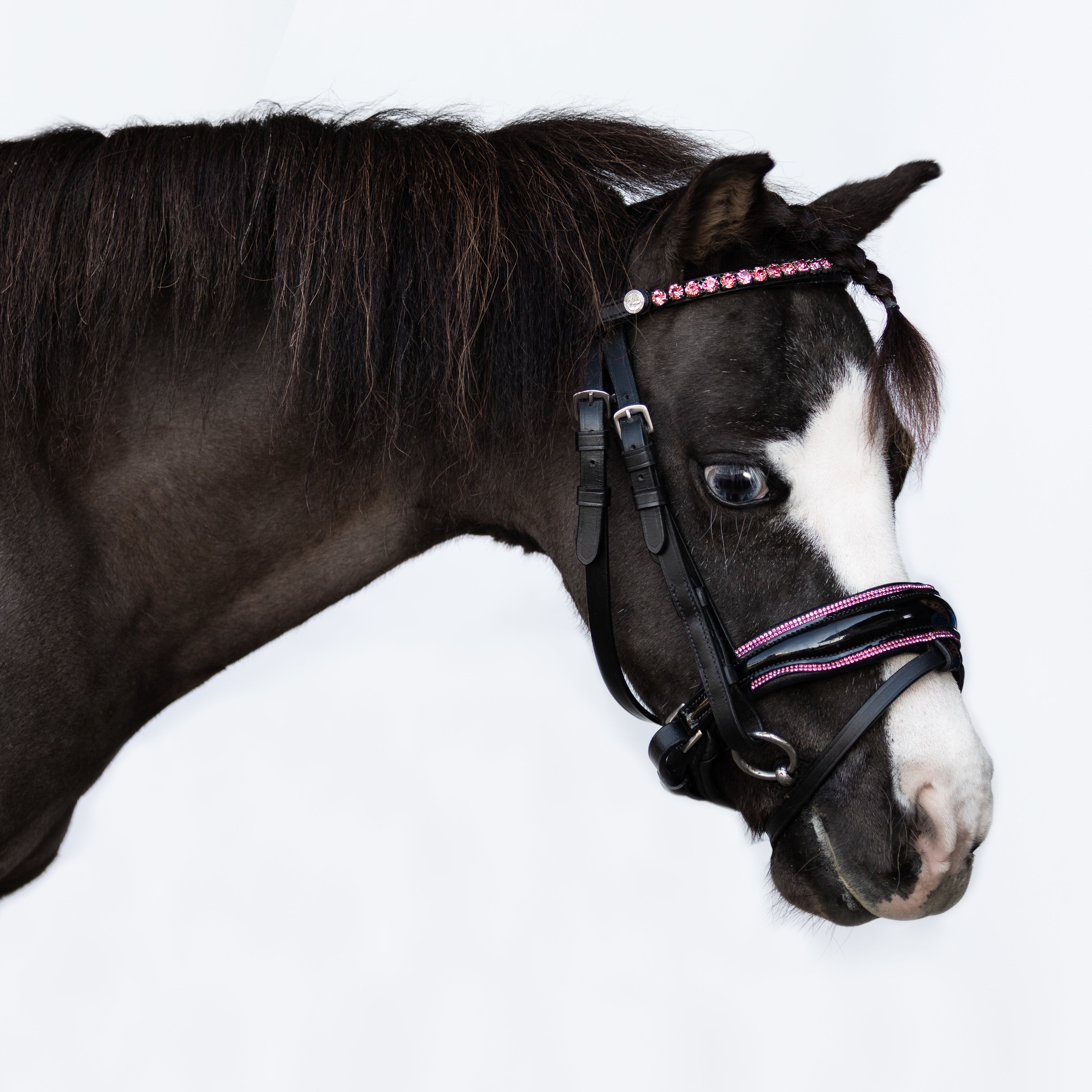 Fairyfloss bridle (Lumi Pony) - Lumiere Equestrian
