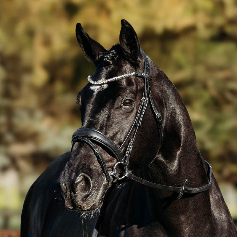 'Abigail' Leather Bridle (Convertible)