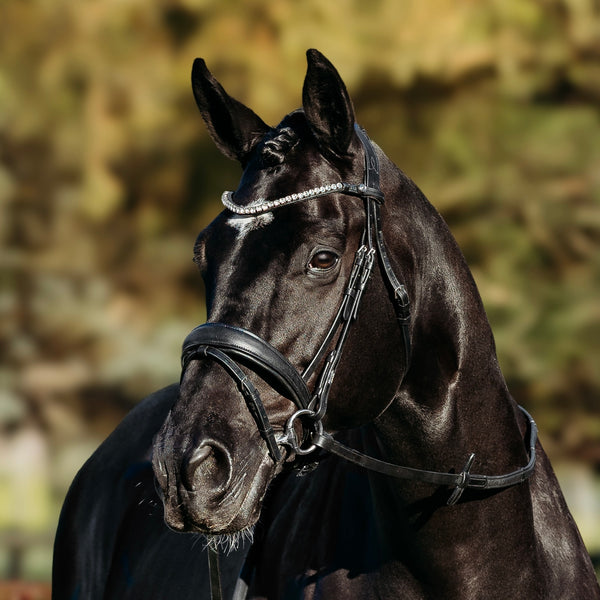Abigail' Leather Bridle (Convertible)