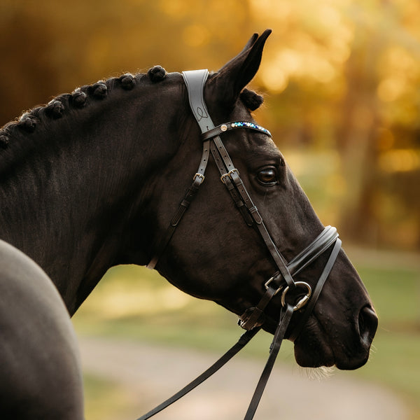 Demi bridle
