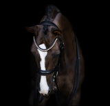 'Athens' leather bridle (snaffle)
