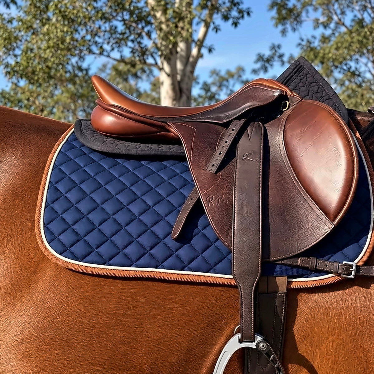 Stirrup leathers - jumping stability (Standard 140cm)