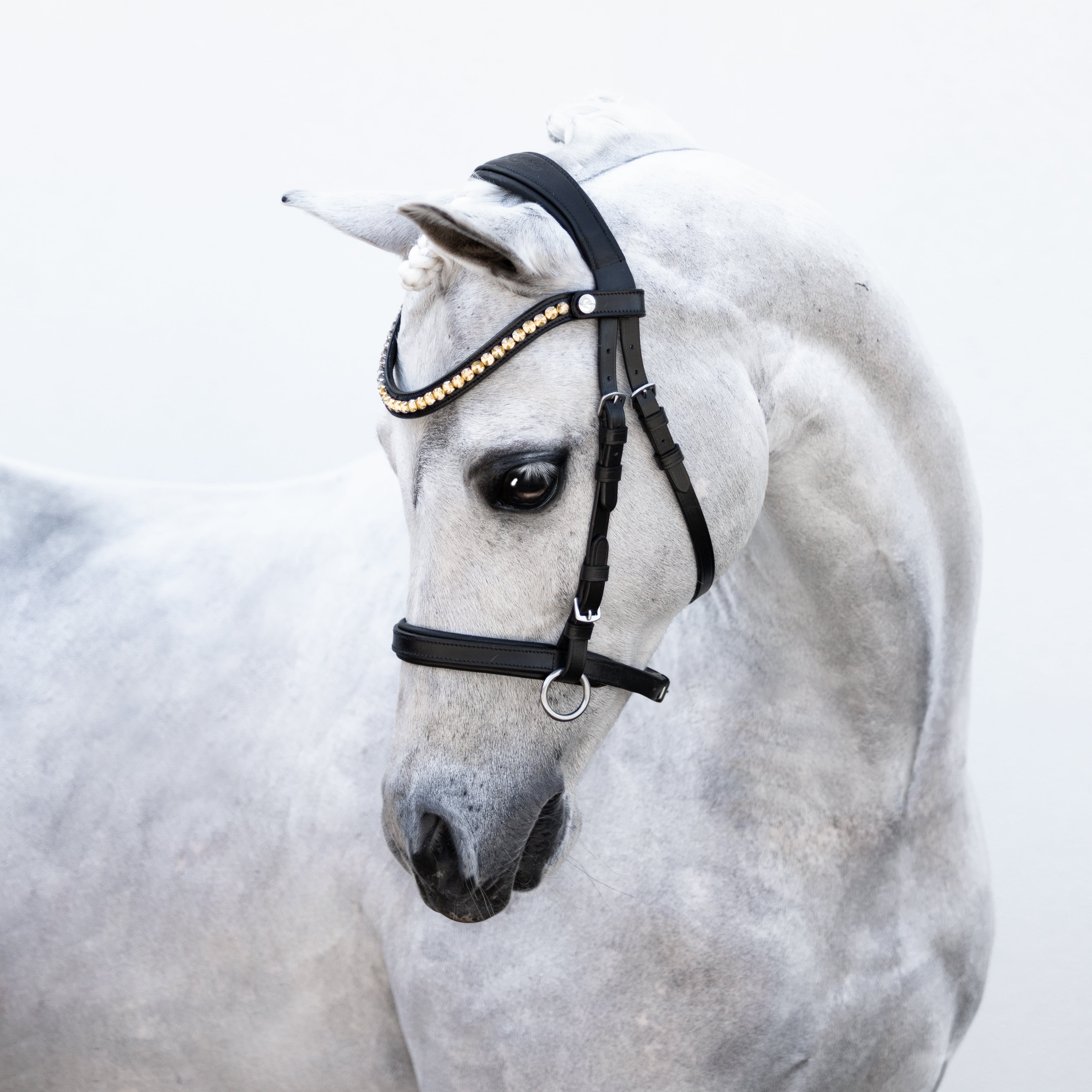Iddy Biddy Bitless bridle (Lumi Pony) Clearance - Lumiere Equestrian