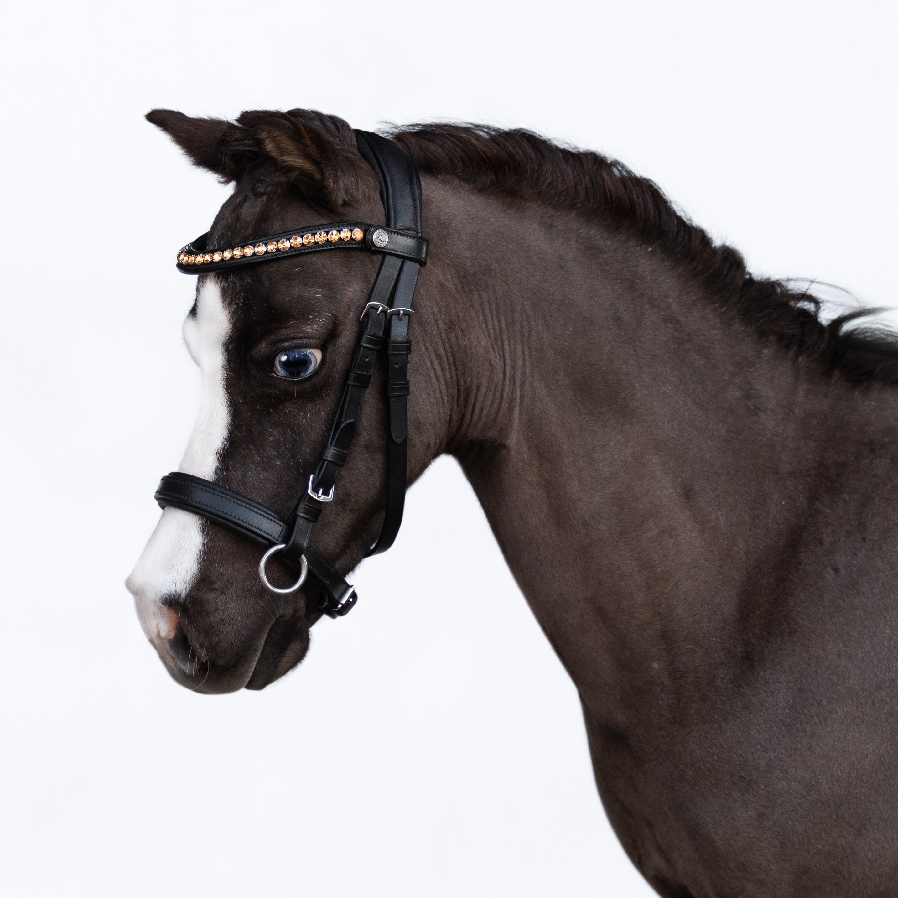 Iddy Biddy Bitless bridle (Lumi Pony) Clearance - Lumiere Equestrian