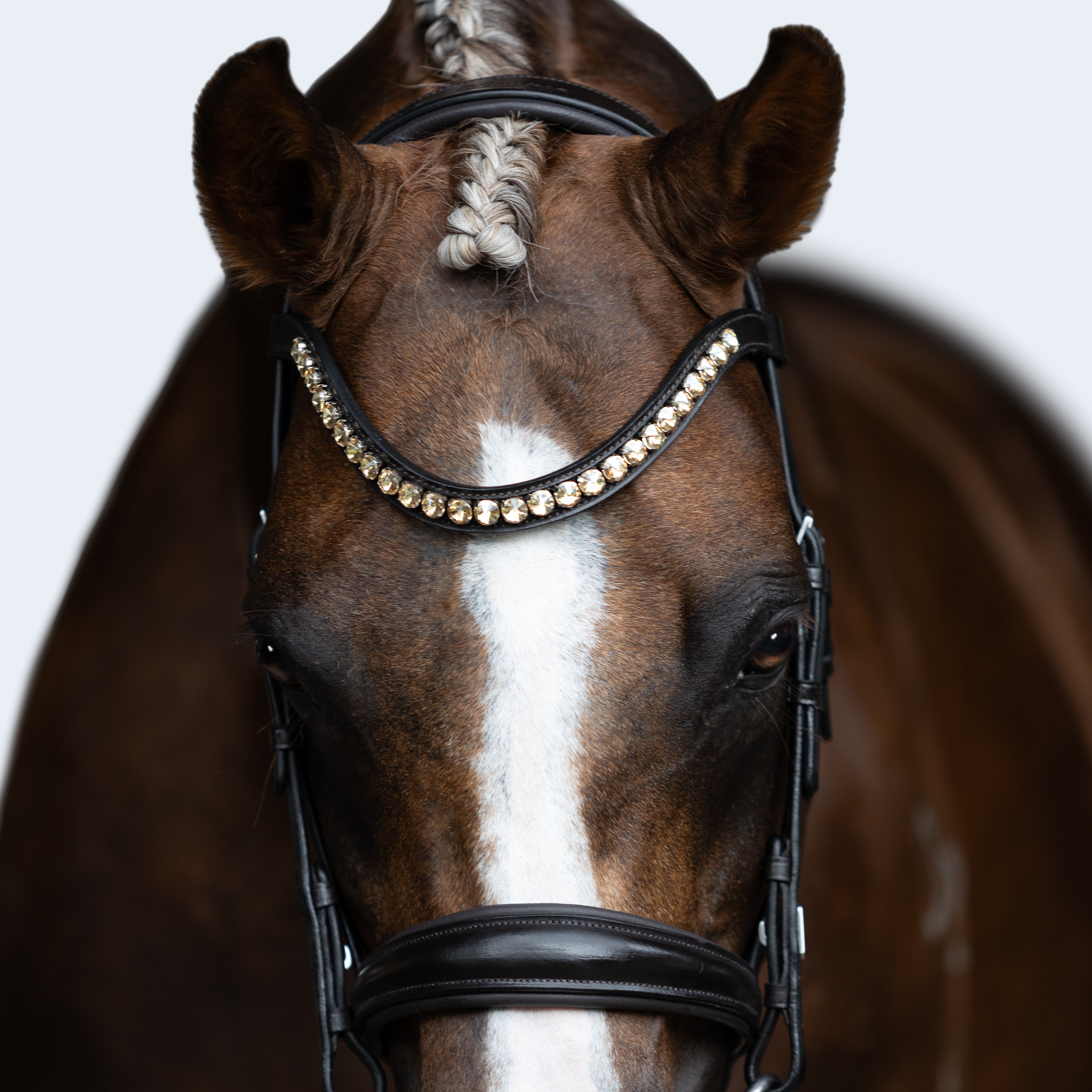 Iddy Biddy browband (Lumi Pony) - Lumiere Equestrian