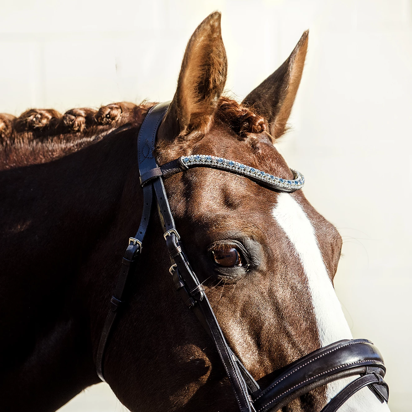'Anastasia' leather bridle (convertible) - Lumiere Equestrian