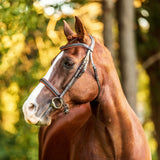 Amour bridle - seconds stock