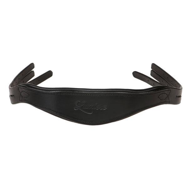 Anatomic monocrown headpiece