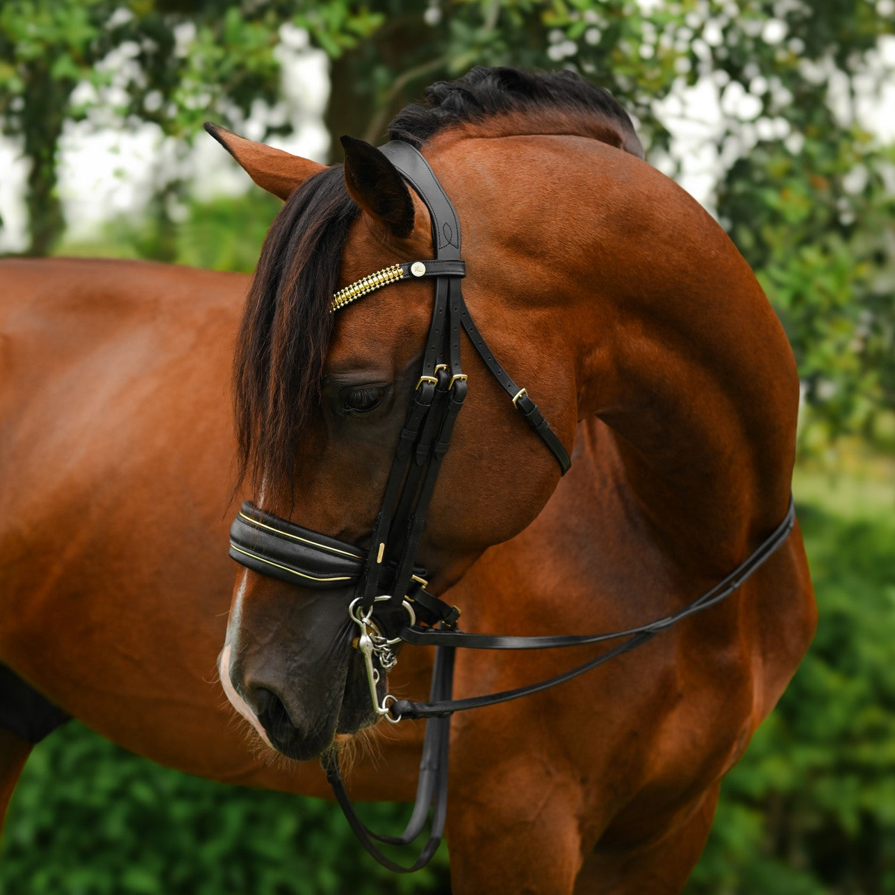Delta bridle (double) - Lumiere Equestrian
