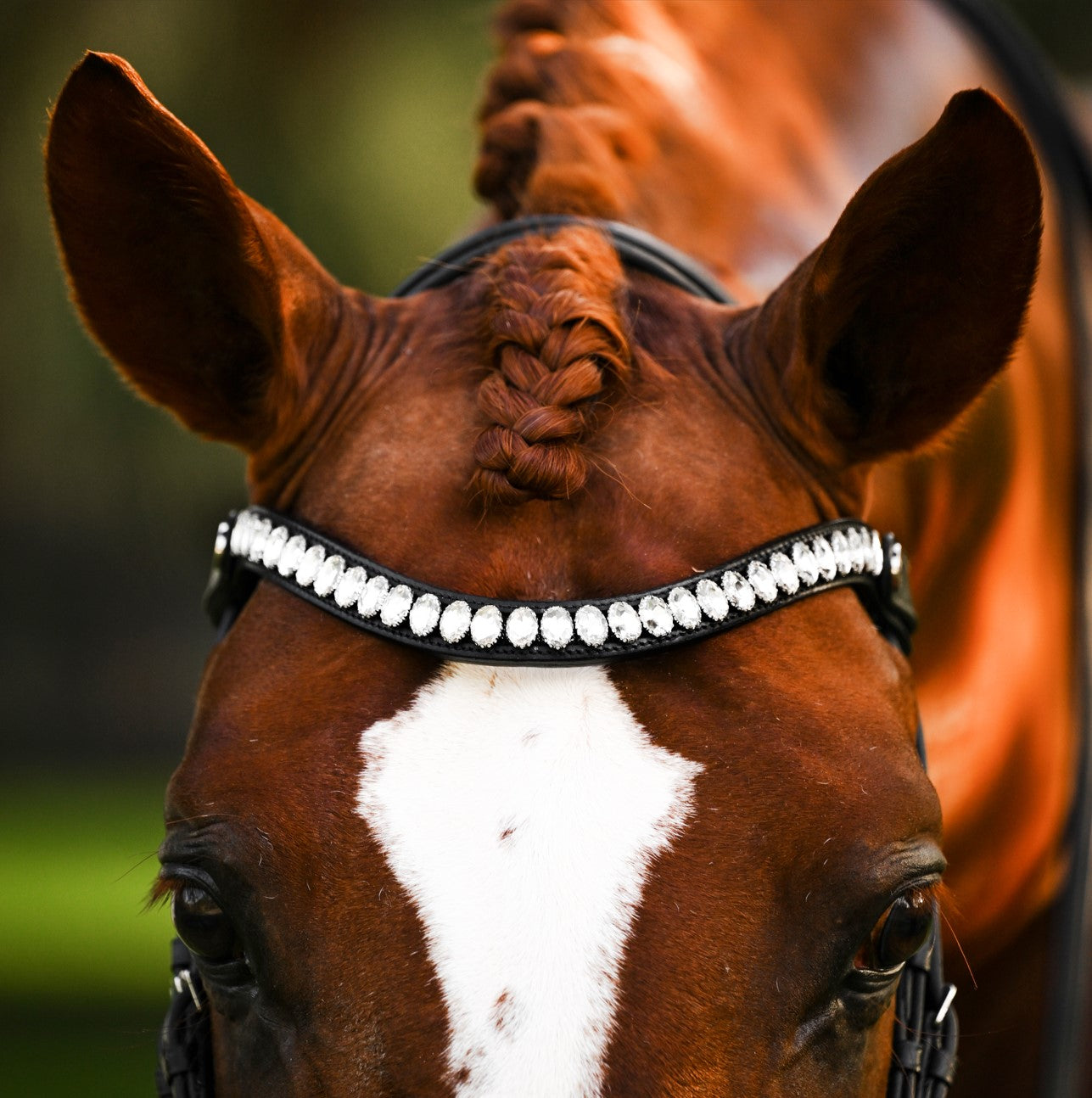 Diva crystal browband (Lumi Pony) - Lumiere Equestrian