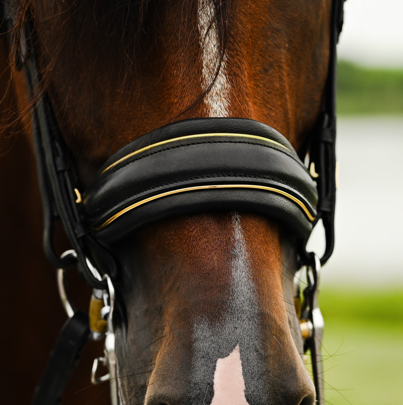 Delta bridle (double) - Lumiere Equestrian