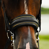 Delta bridle (double)