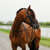 Delta bridle (double)