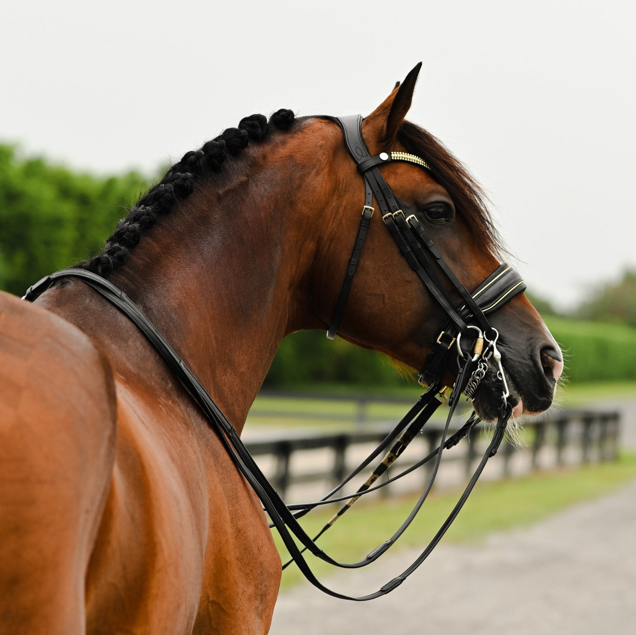 Delta bridle (double) - Lumiere Equestrian