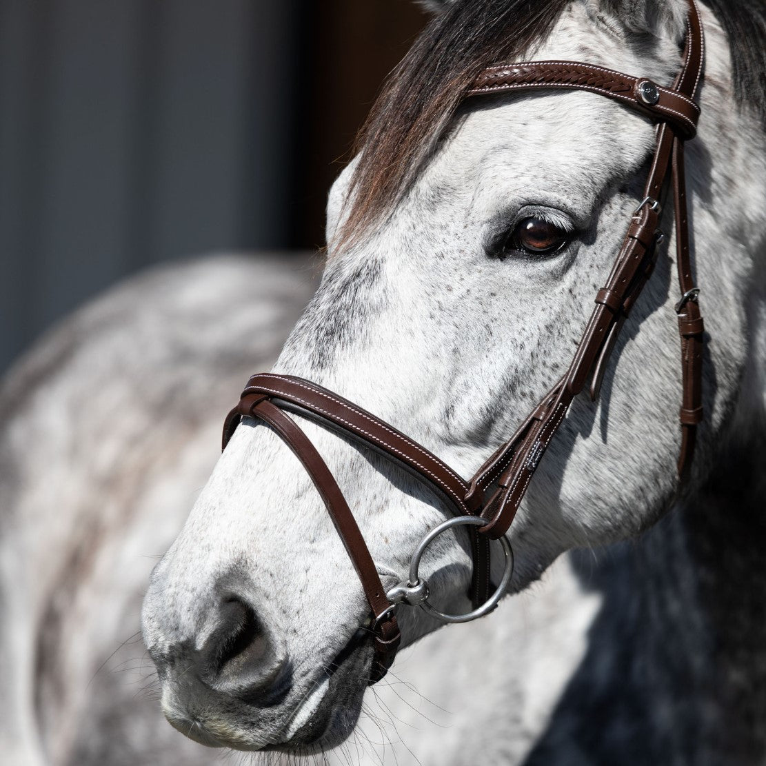 Delaney bridle - Lumiere Equestrian