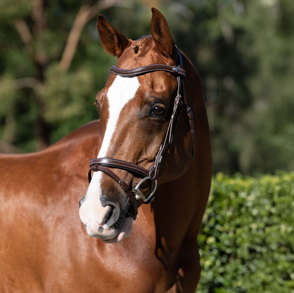 Delaney bridle - Lumiere Equestrian