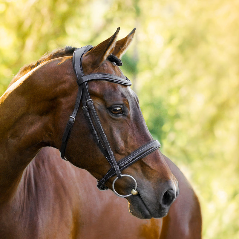 Milan Noseband - Seconds - Clearance - Lumiere Equestrian