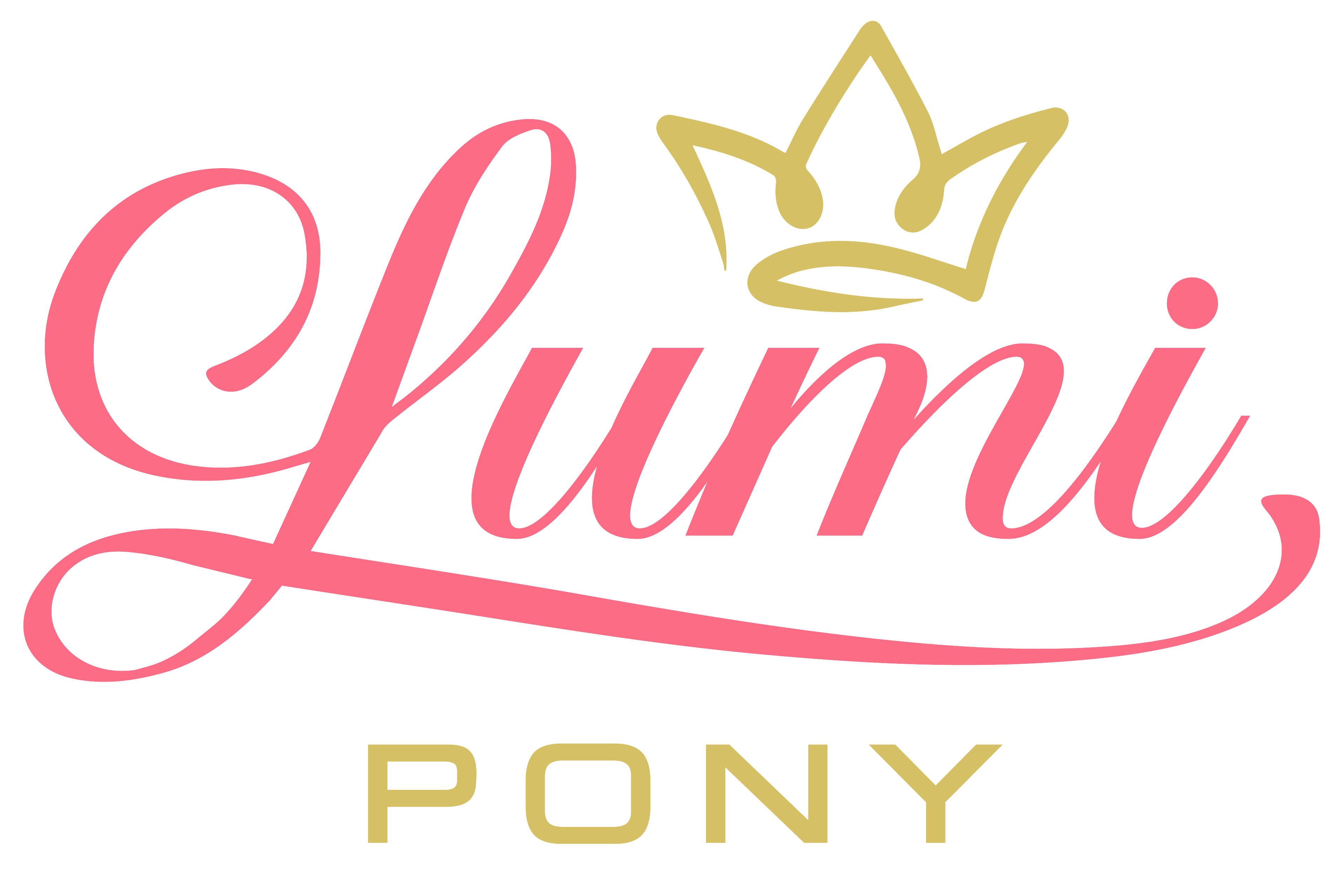 Lumiere Equestrian