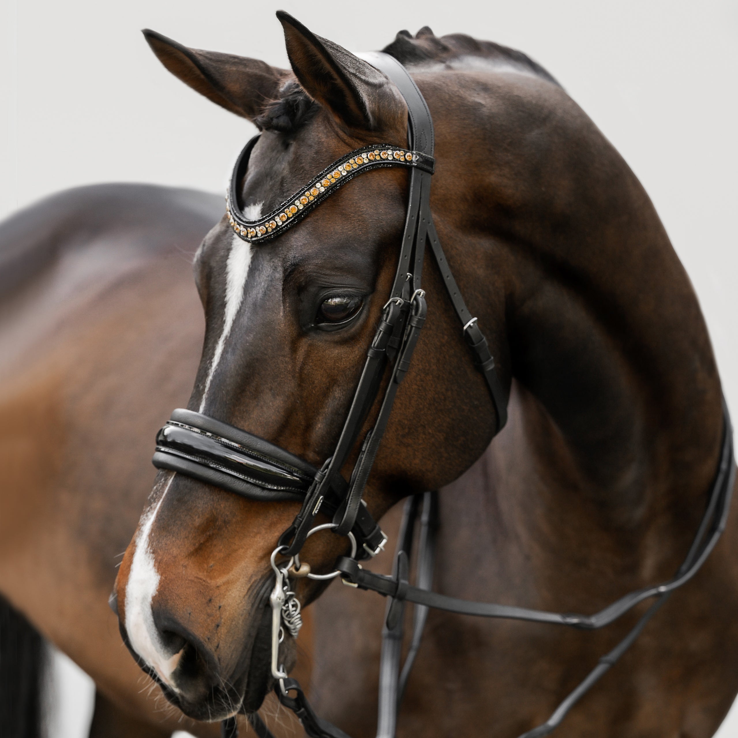 'Ariana' bridle (double) - Lumiere Equestrian