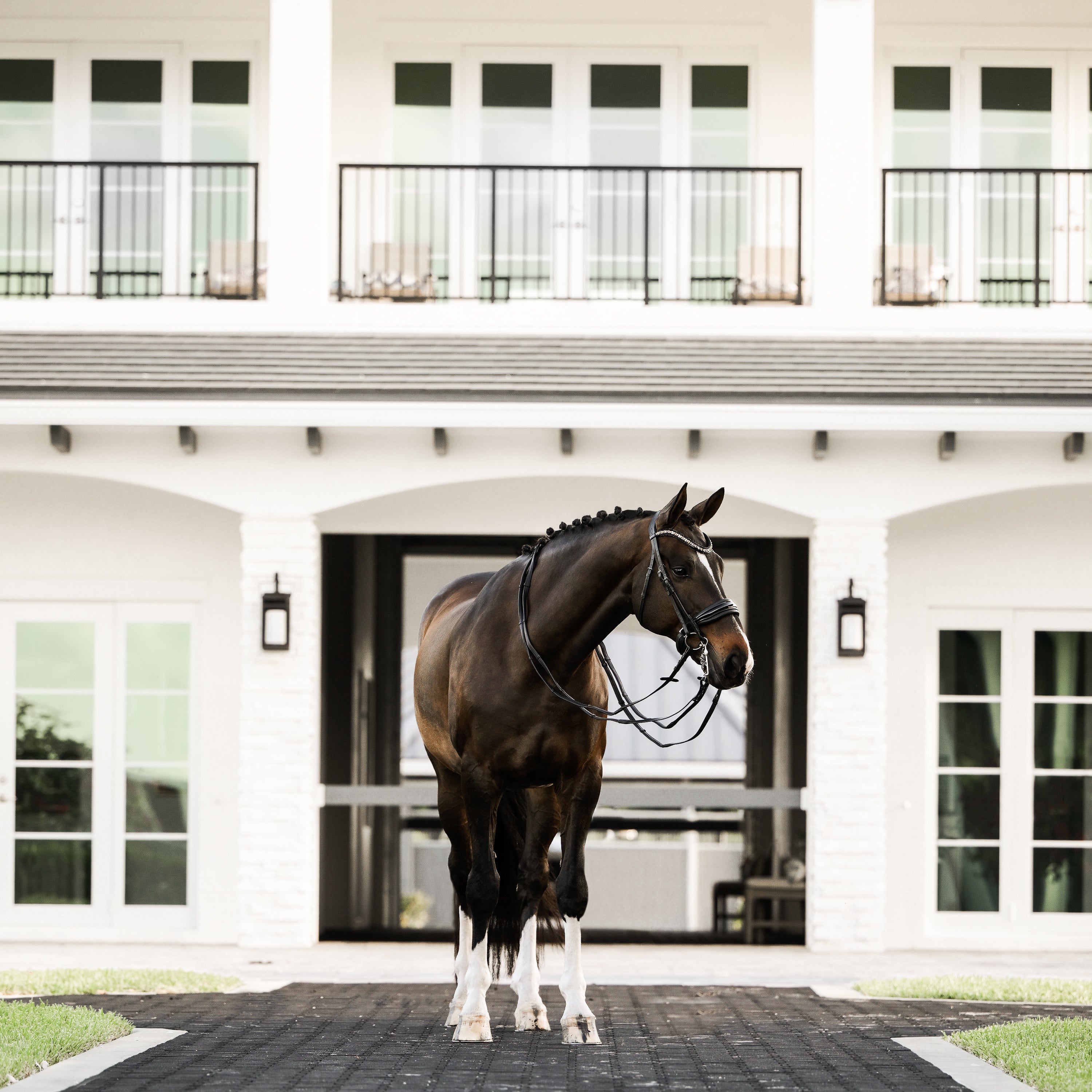 'Ariana' bridle (double) - Lumiere Equestrian