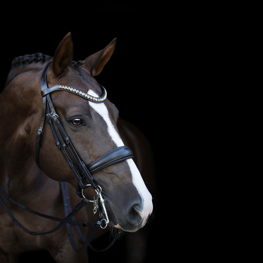Athens crystal browband - Lumiere Equestrian
