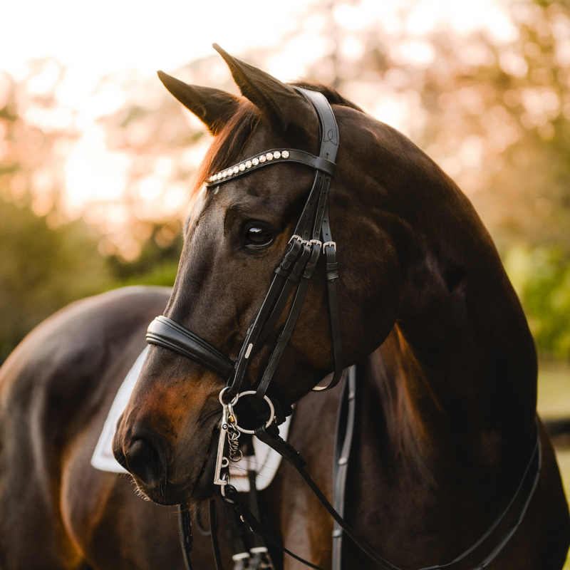 'Athens' luxury leather bridle - (double)