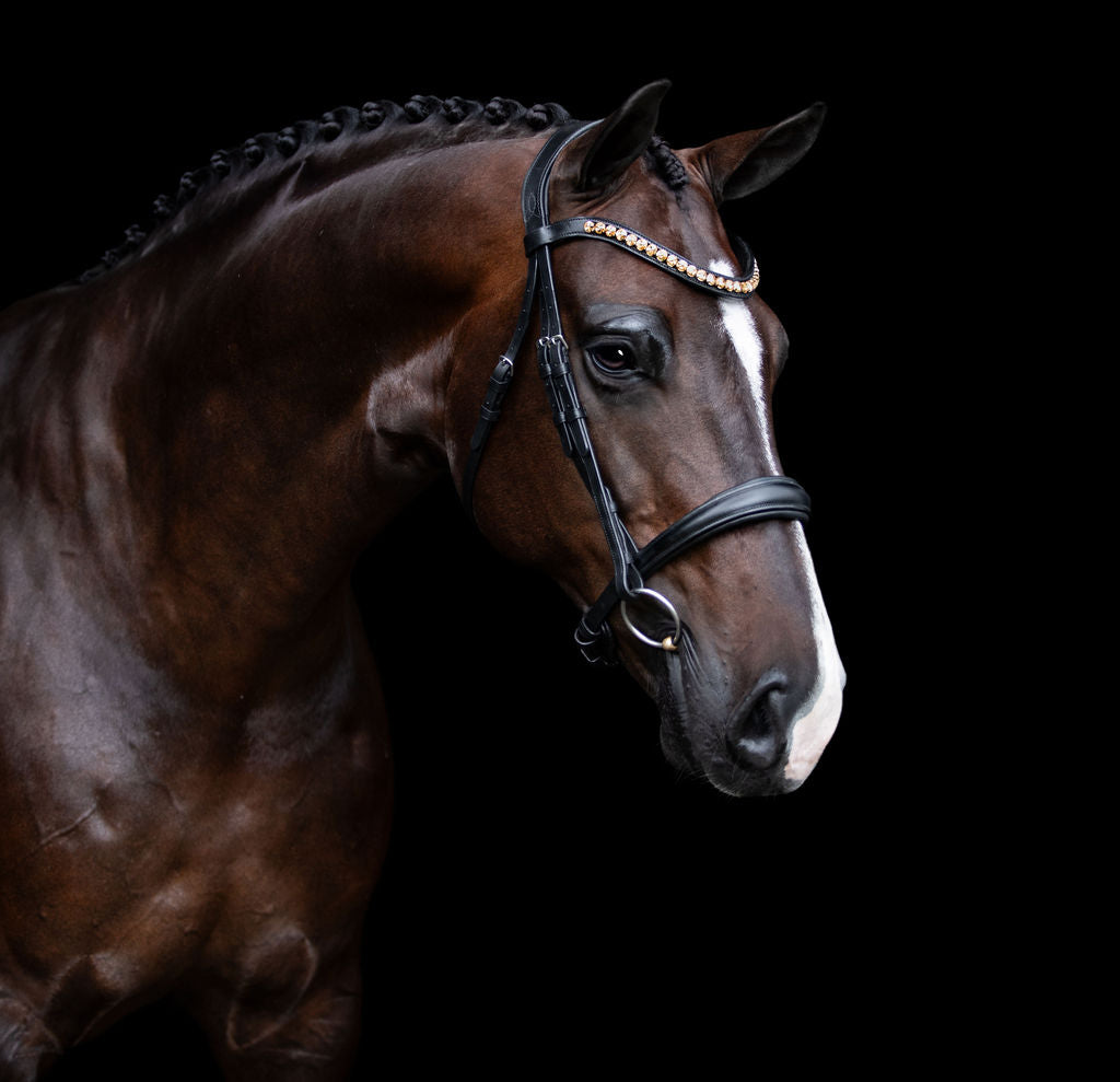 'Athens' leather bridle (snaffle) - Lumiere Equestrian