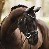 'Aurelie' Rolled Leather Bridle (Hanoverian)