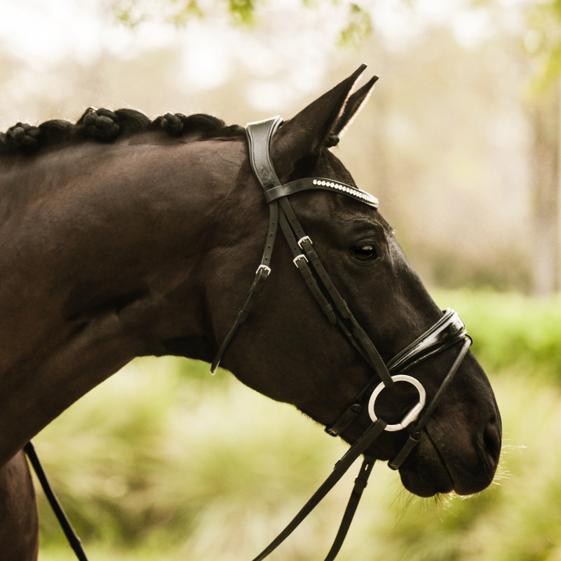 'Aurelie' Rolled Leather Bridle (Hanoverian)