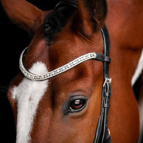 Silver Crystal Browband - (Black Leather, Small Loop)