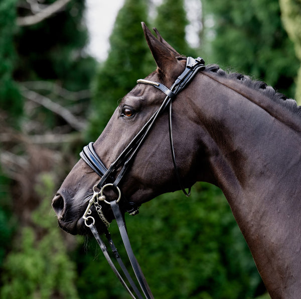 Melodie noseband - matte (cavesson)