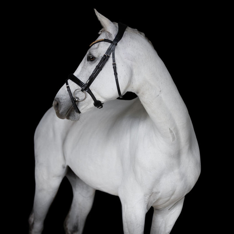'Margaux' bridle - Clearance